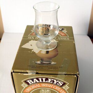 Set of 6 Vintage Baileys Irish Cream Shot Glasses In Box